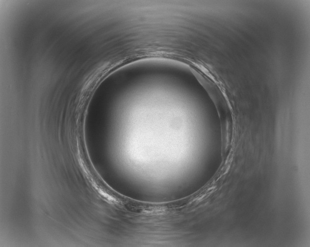 X0000078870097200611131227