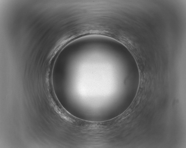 X0000078870098200611131227