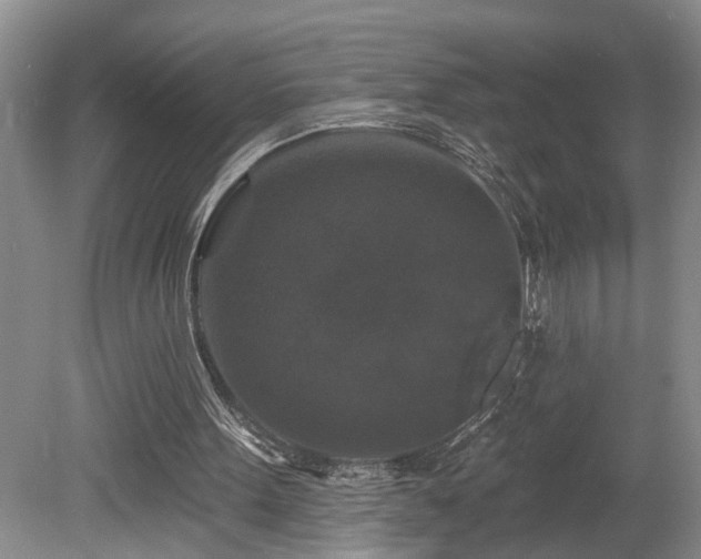 X0000078870099200611131227