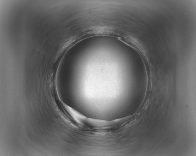 X0000078870105200611131227