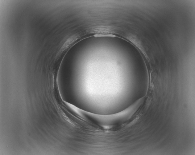 X0000078870109200611131227
