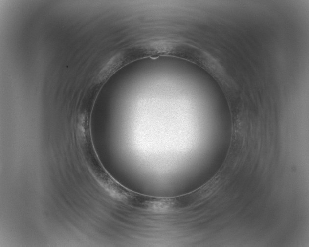 X0000078870122200611131227