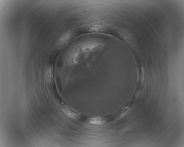 X0000078870127200611131227