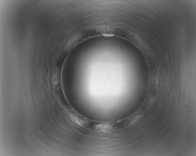 X0000078870133200611131227