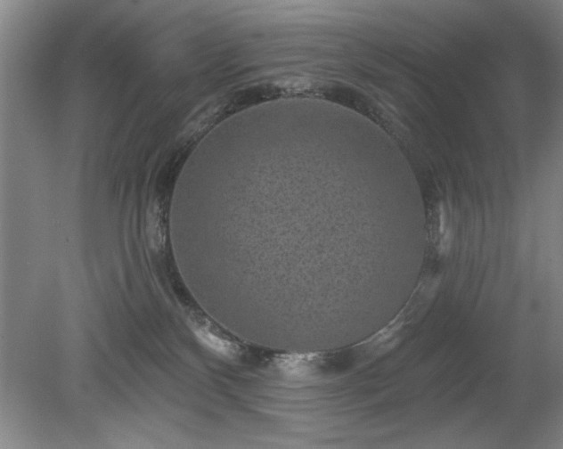 X0000078870136200611131227