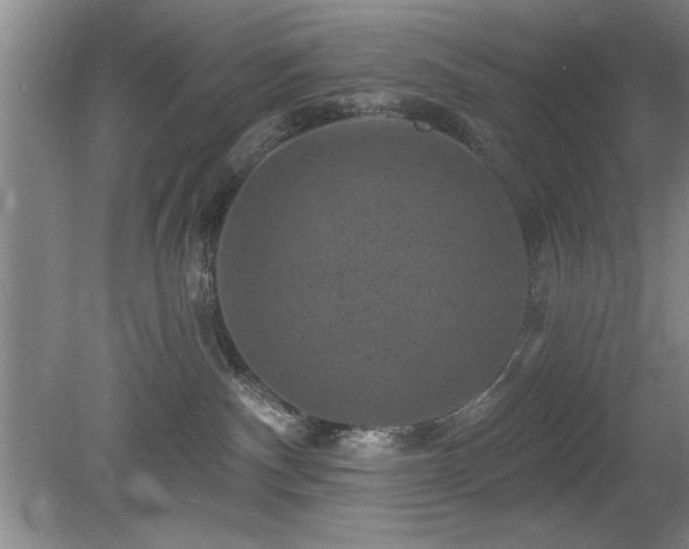 X0000078870140200611131226