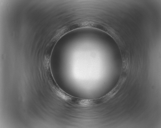 X0000078870142200611131226