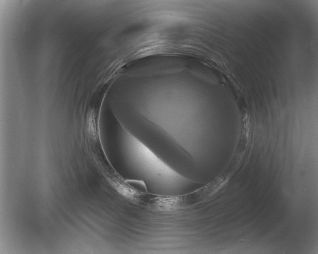 X0000078870143200611131226