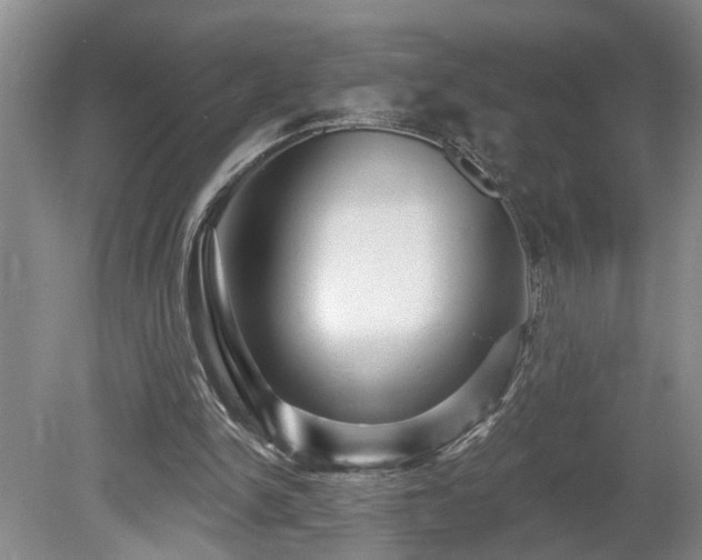 X0000078870150200611131226