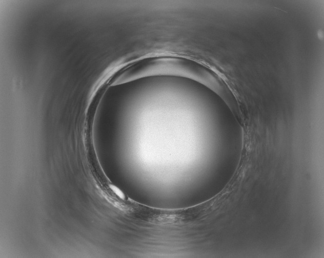 X0000078870152200611131226