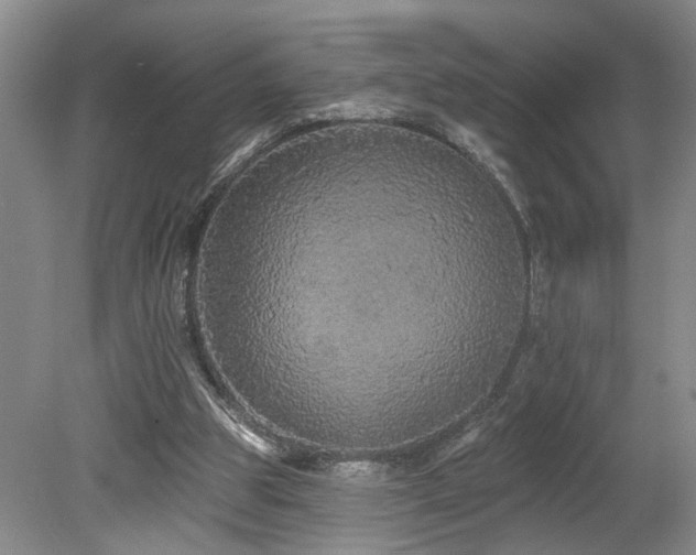 X0000078870153200611131226