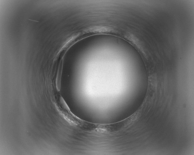 X0000078870159200611131226