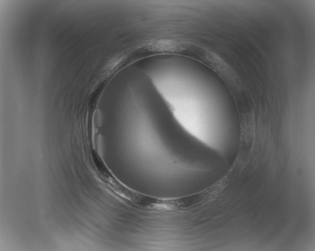 X0000078870167200611131226