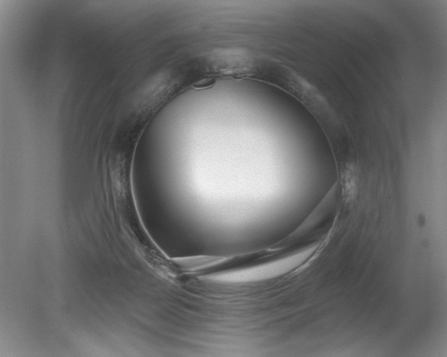 X0000078870170200611131226