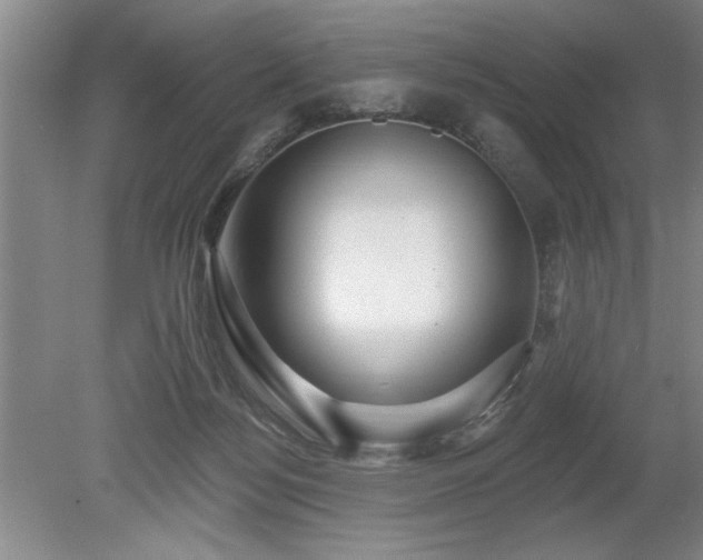 X0000078870172200611131226