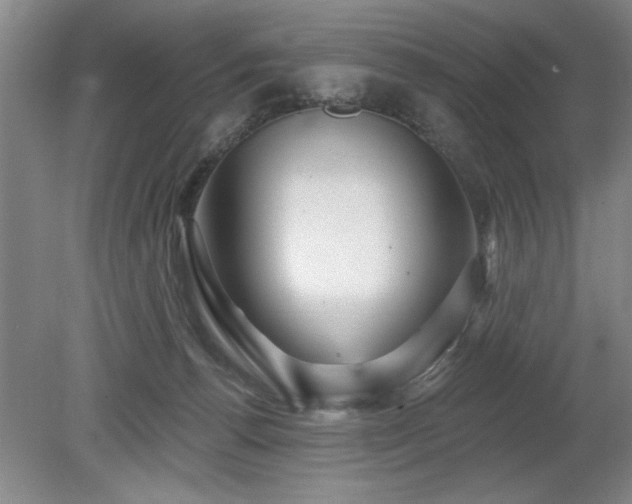X0000078870176200611131226