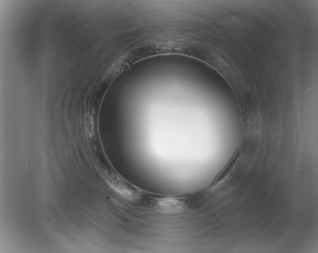 X0000078870183200611131226