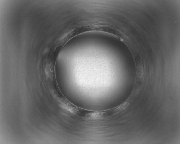 X0000078870184200611131226