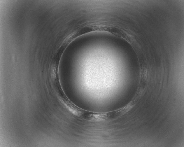 X0000078870188200611131226