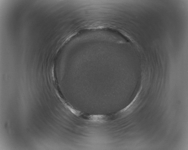 X0000078870192200611131226