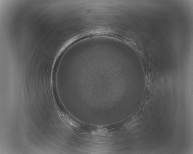 X0000078870196200611131226