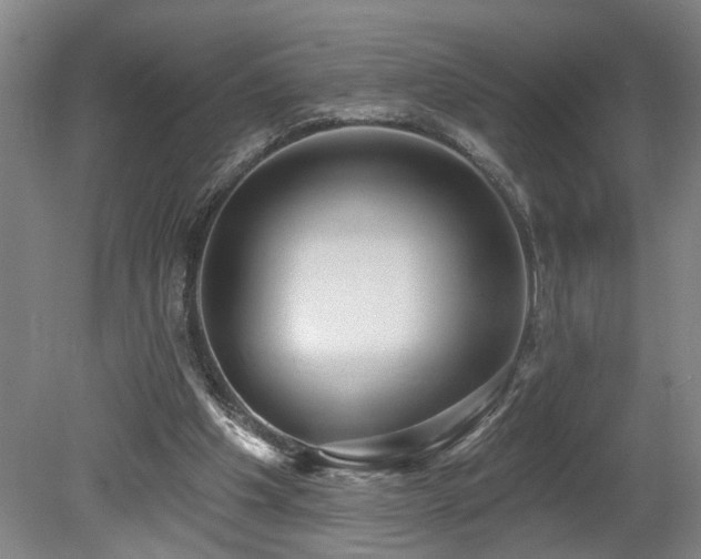 X0000078870201200611131225