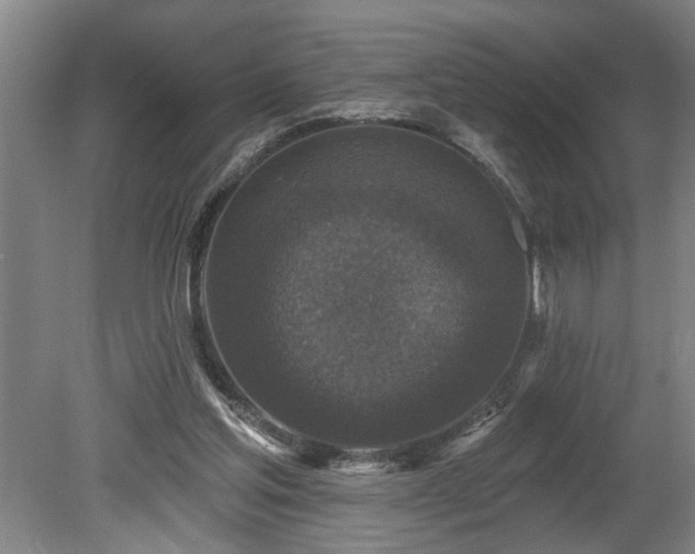 X0000078870205200611131225