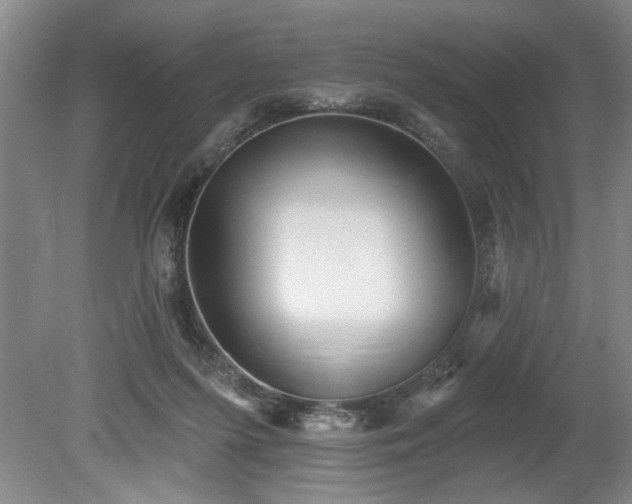 X0000078870215200611131225