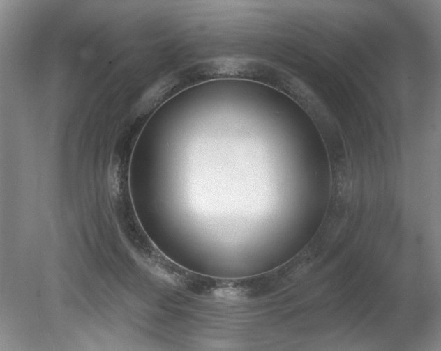 X0000078870216200611131225