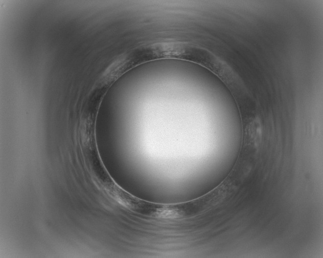 X0000078870218200611131225