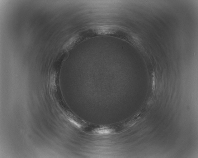 X0000078870219200611131225