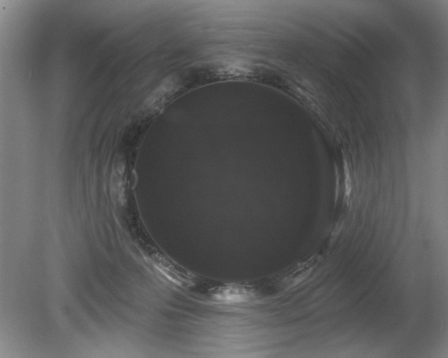 X0000078870223200611131225