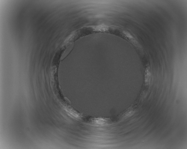 X0000078870229200611131225