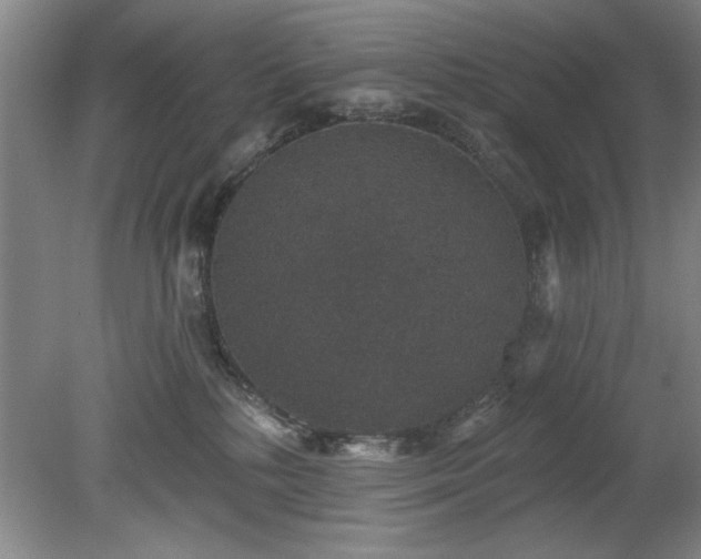 X0000078870232200611131225
