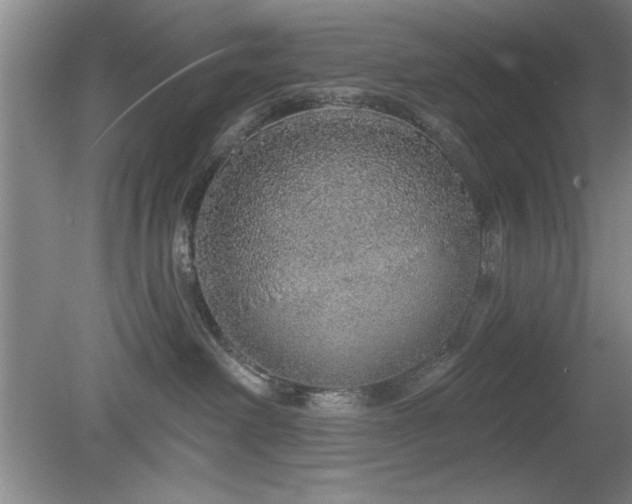 X0000078870238200611131225