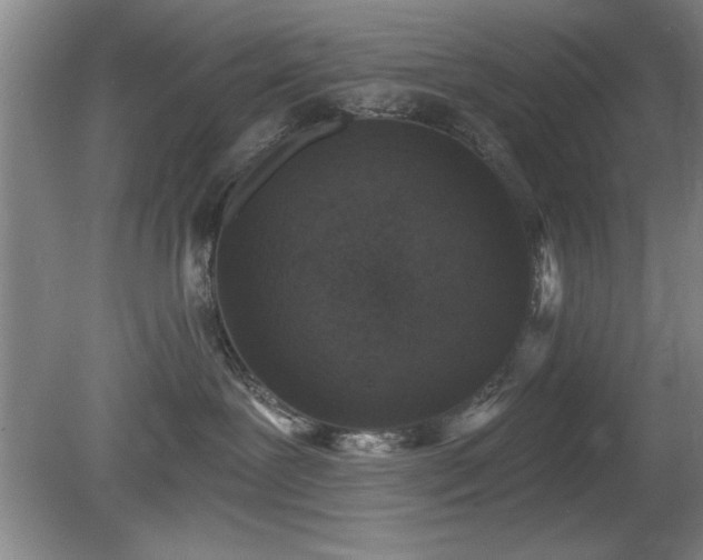 X0000078870239200611131225