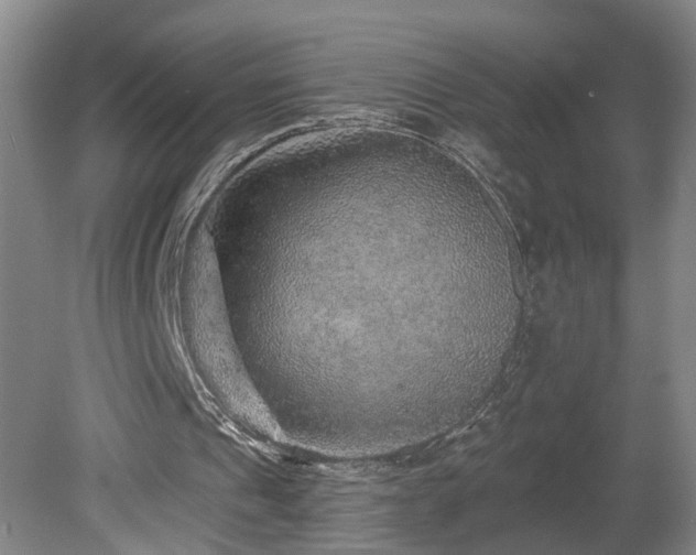 X0000078870241200611131224