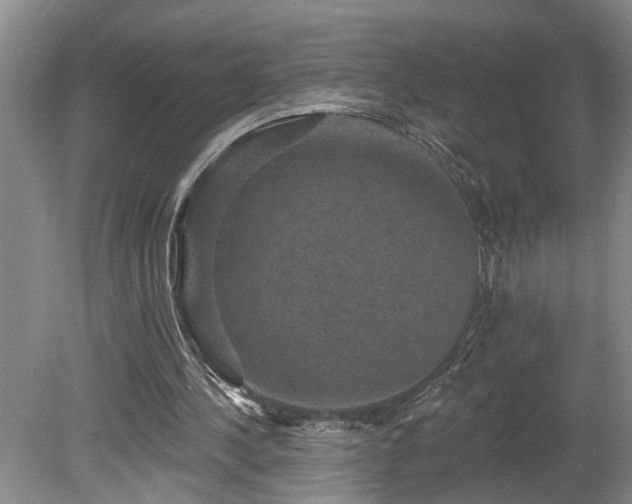 X0000078870244200611131224