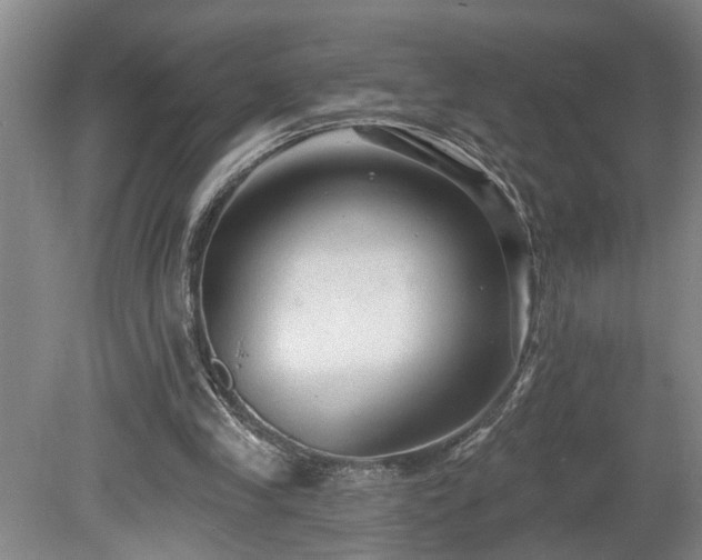 X0000078870245200611131224