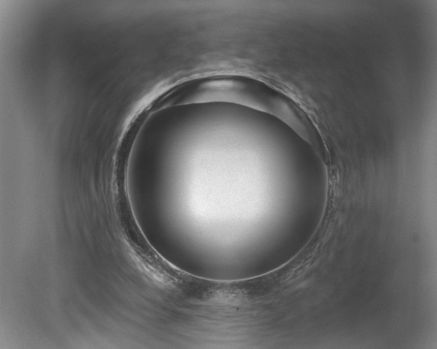 X0000078870248200611131224