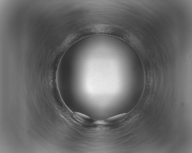 X0000078870255200611131224
