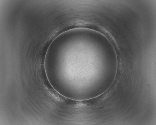 X0000078870257200611131224