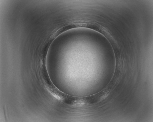 X0000078870259200611131224