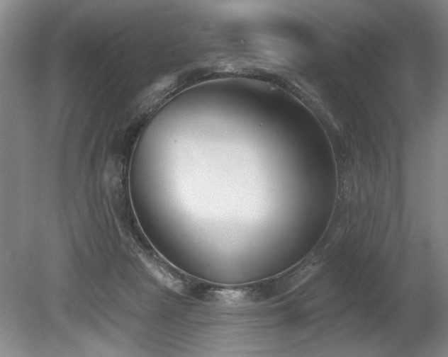 X0000078870265200611131224