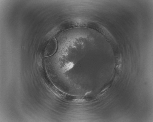 X0000078870266200611131224