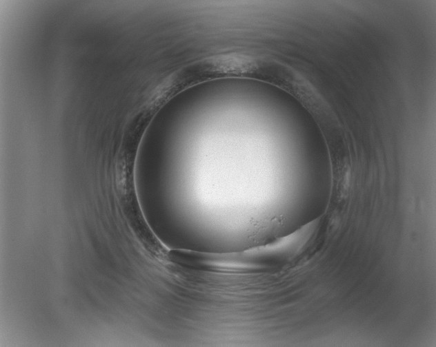 X0000078870268200611131224