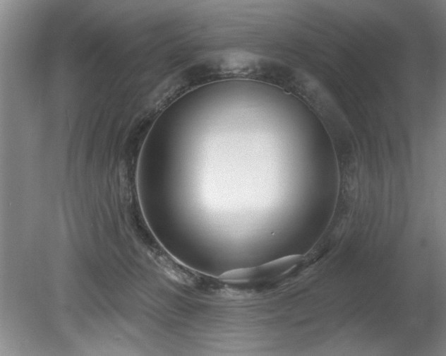X0000078870270200611131224
