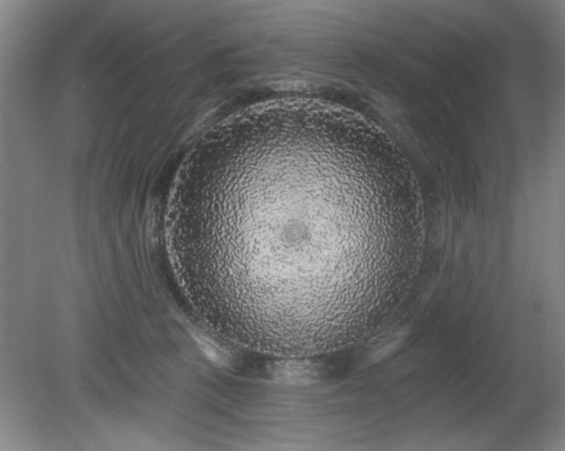 X0000078870273200611131225
