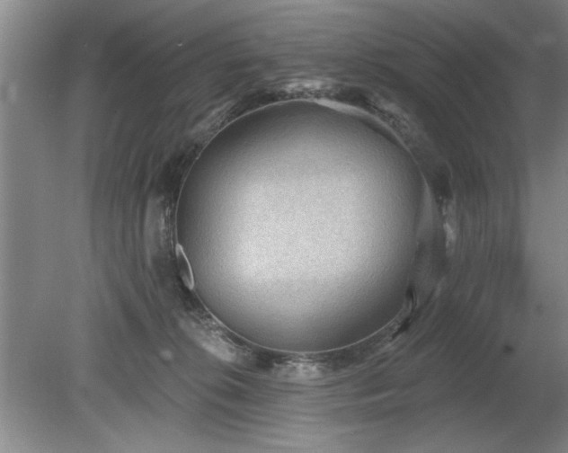 X0000078870276200611131225