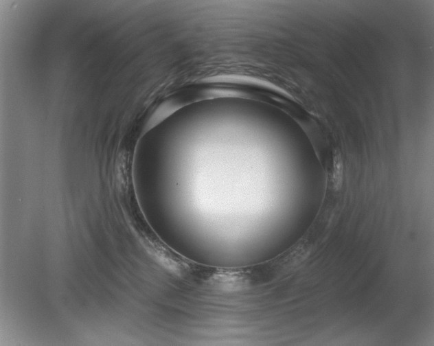 X0000078870280200611131225